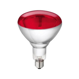 Bec Infrarosu cu sticla rosie 250 W PHILIPS, pentru creșterea puilor de pasăre